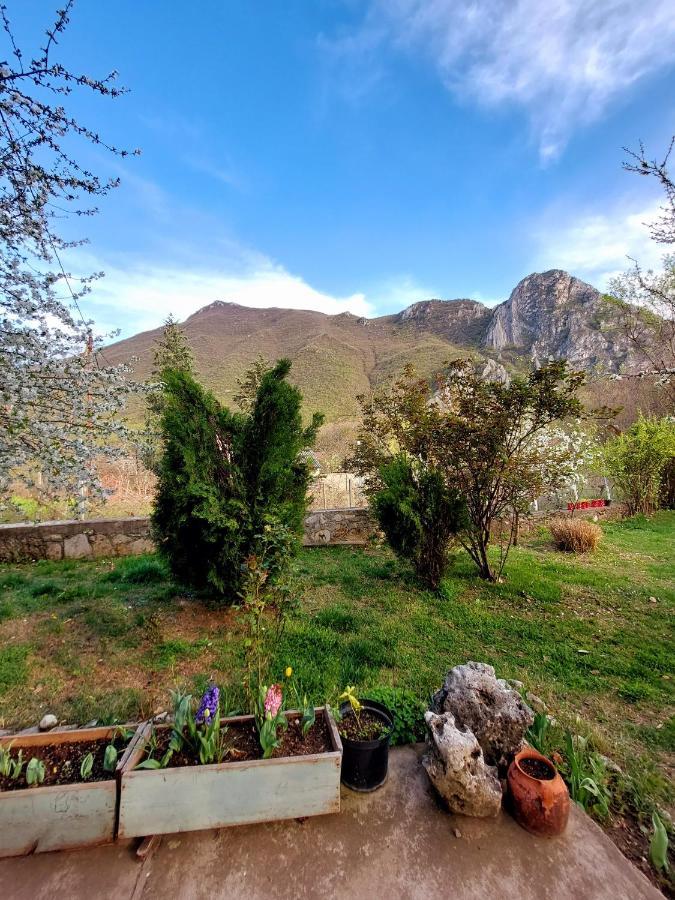 Incredible Apartment With A Mountain View - Matka Σκόπια Εξωτερικό φωτογραφία